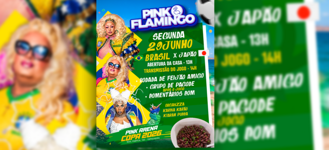 Pink Flamingo |Arena Copa Pink (BrasilxJapão) | Segunda, 29 de Junho 13h (foto do evento)