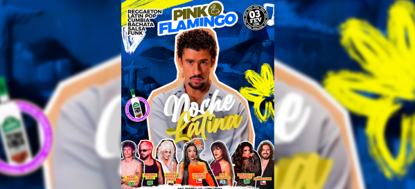 pink flamingo |noche latina  - terça, 03 de fevereiro (foto do evento)