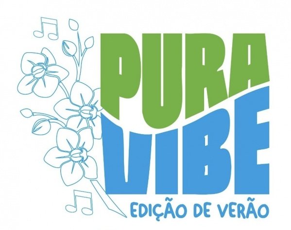 festival pura vibe - edição verão (foto do evento)