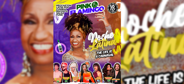 pink flamingo |noche latina  - terça, 10 de fevereiro (foto do evento)