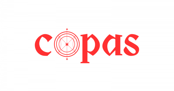 copas - show debut na audio rebel com georgia (foto do evento)