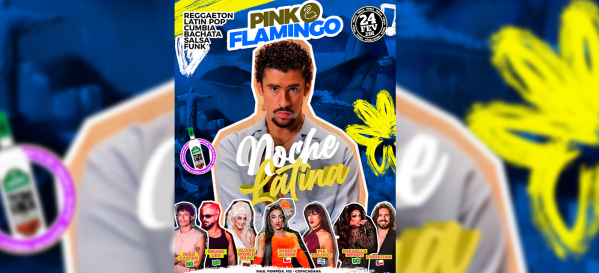 pink flamingo |noche latina  - terça, 24 de fevereiro (foto do evento)