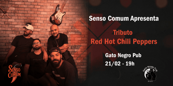 tributo red hot chili peppers - com senso comum (foto do evento)