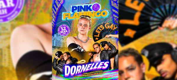 pink flamingo convida dornelles |quinta ,12 de março 21h (foto do evento)