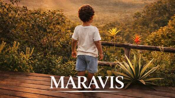 Show Maravis Na Lapa - Rj (foto do evento)