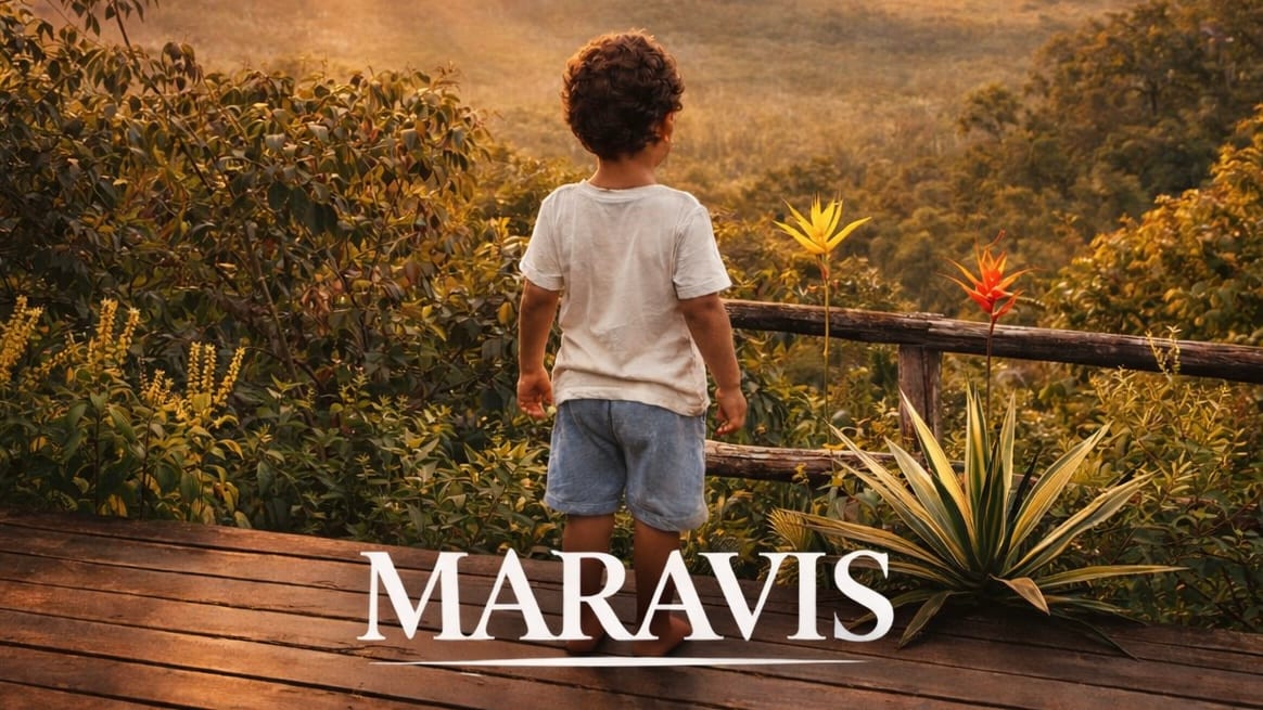 Show Maravis Na Lapa - Rj (foto do evento)