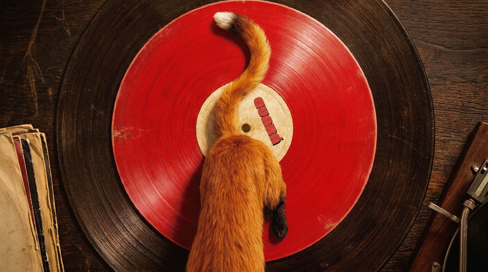 Guará - Primeira Edição! (foto do evento)